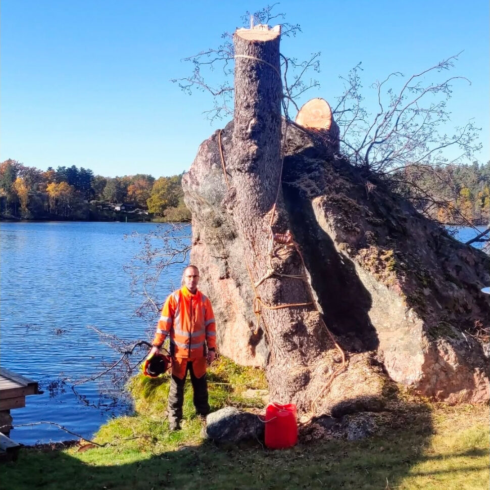Certifierad arborist utför trädbeskärning i Eskilstuna