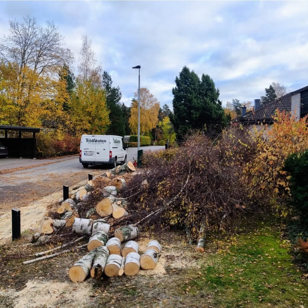 Eskilstuna trädvård