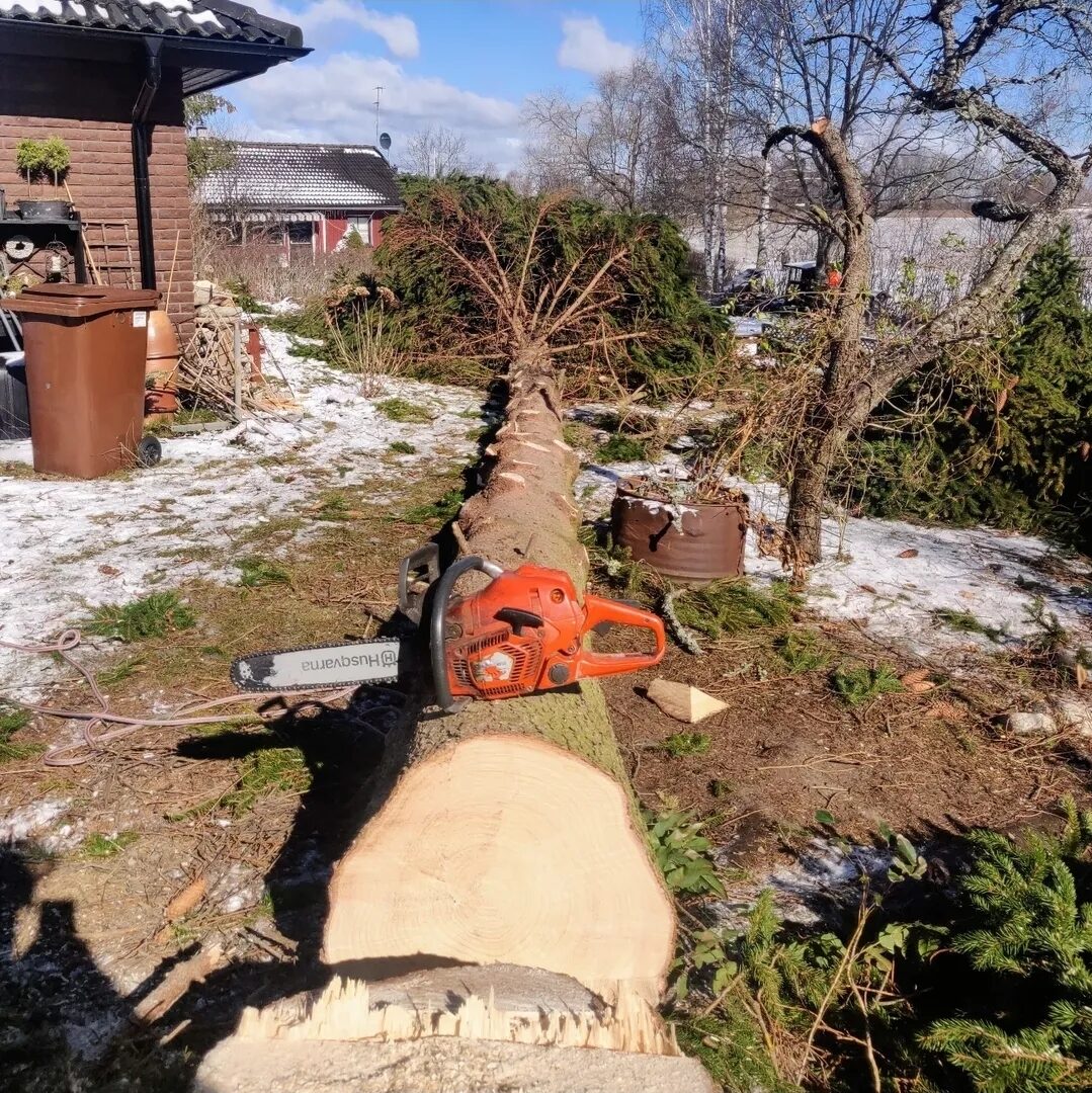 Eskilstuna trädvård