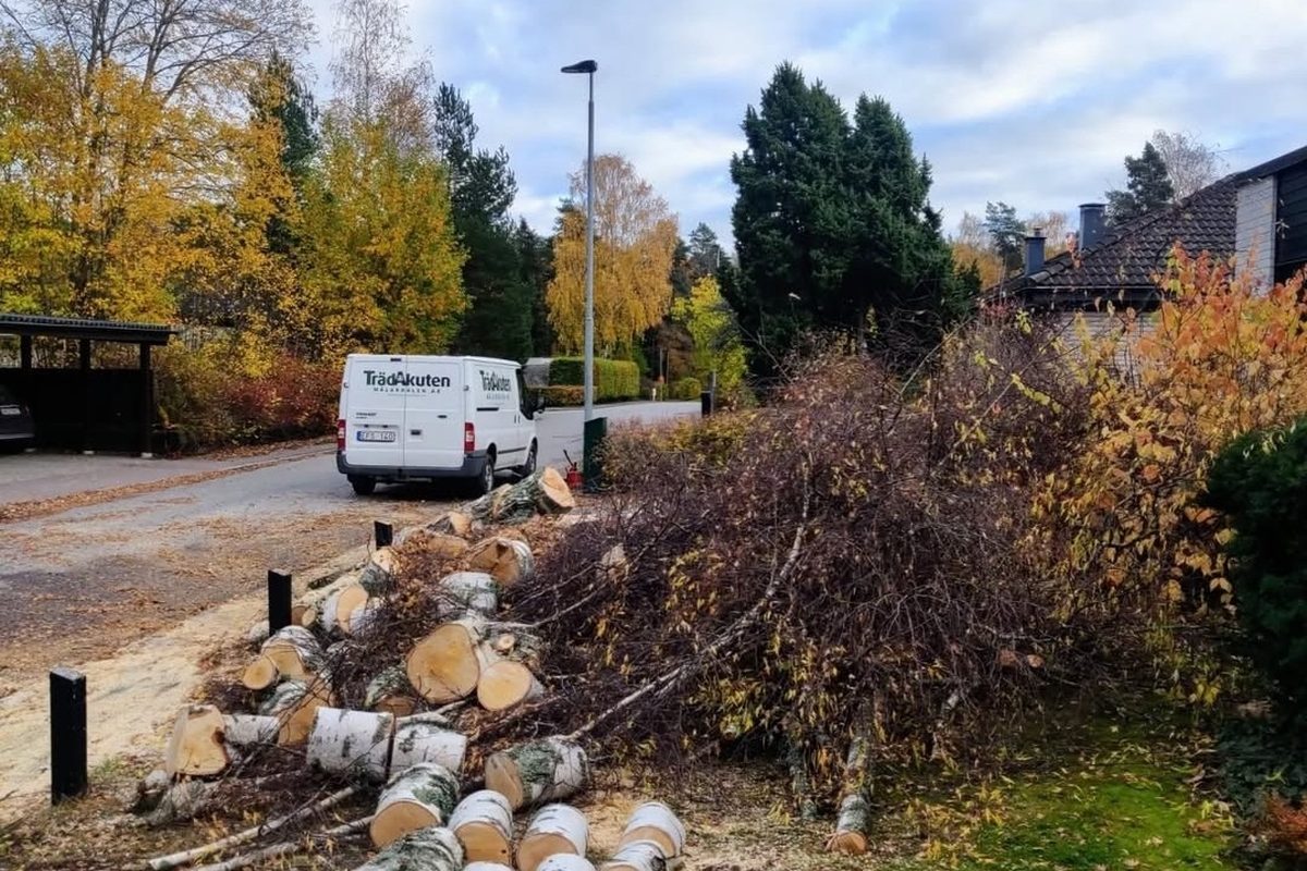 TrädAkutens servicebil på villagatan med uppkapade björkstammar i högar